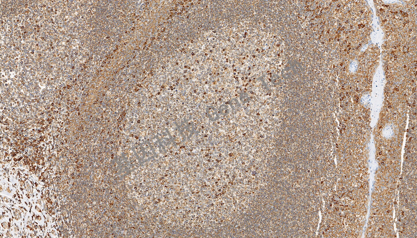 1694753962174355.jpg